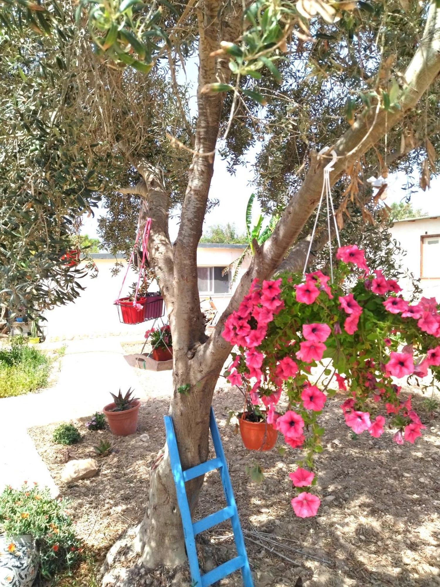 Cala Creta Apartment Lampedusa Ruang foto