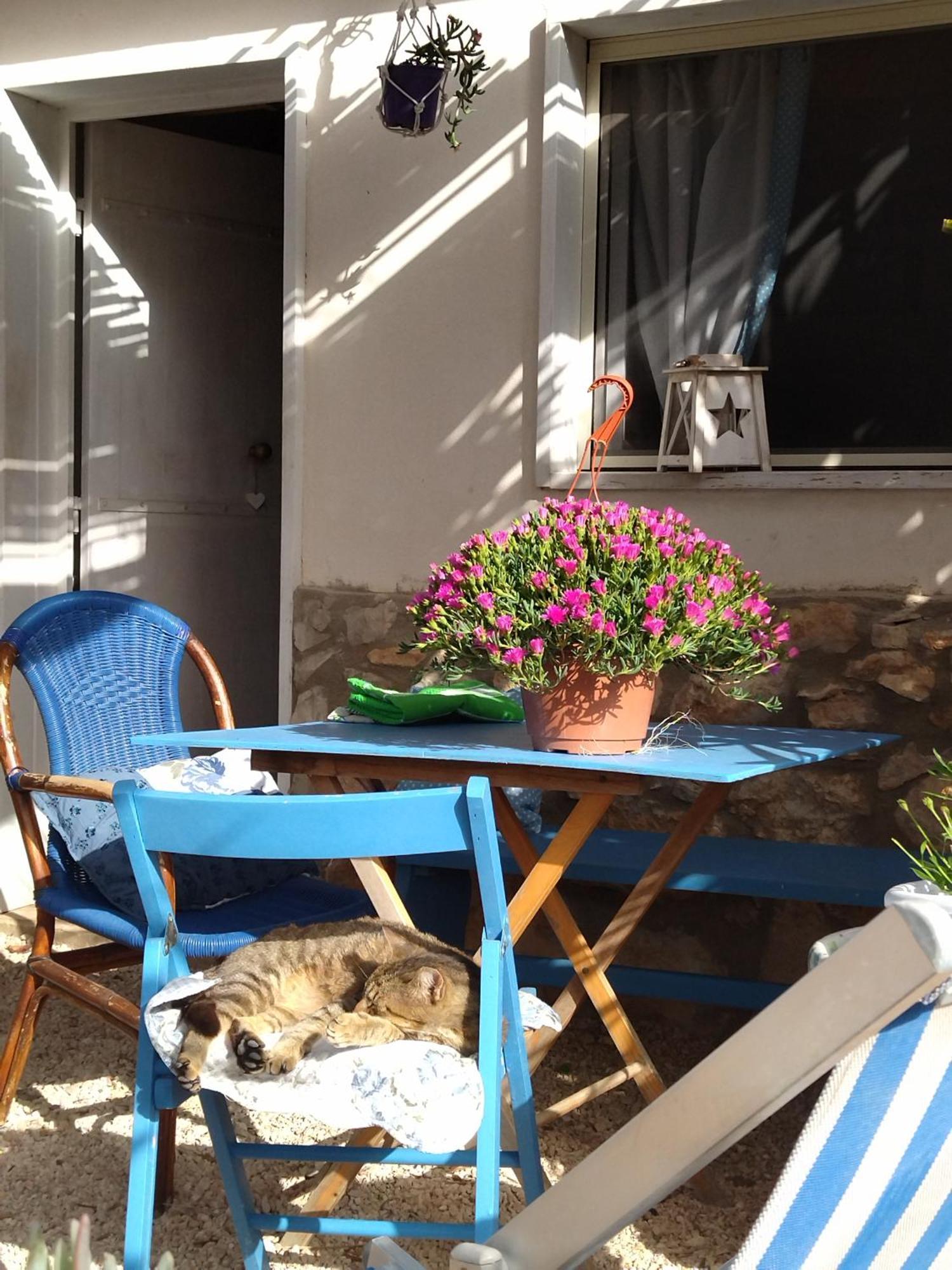 Cala Creta Apartment Lampedusa Ruang foto