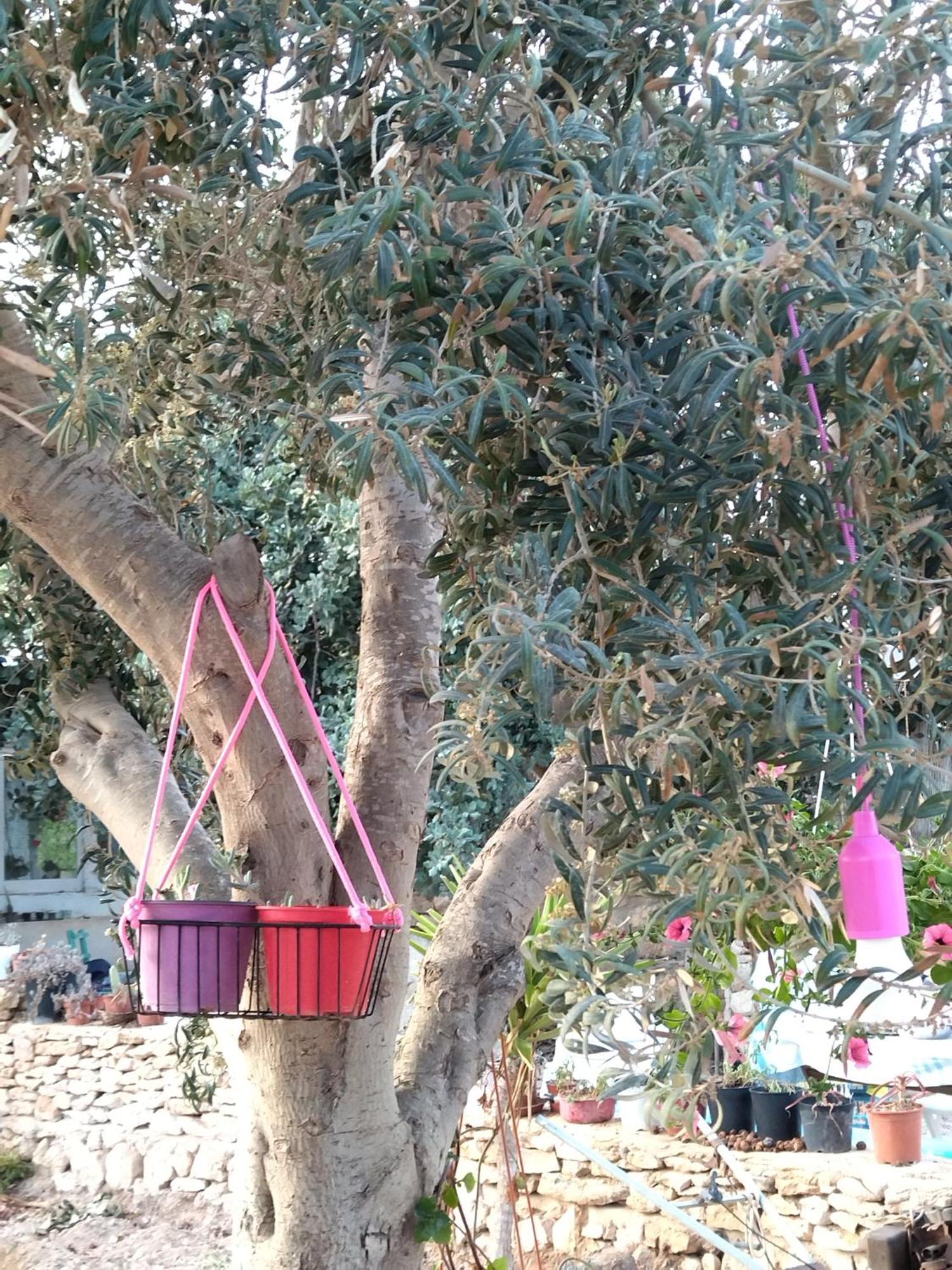 Cala Creta Apartment Lampedusa Ruang foto